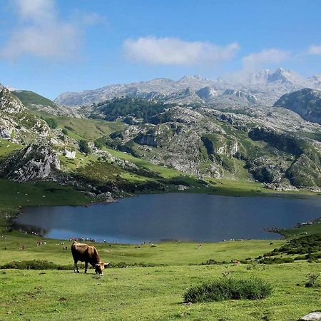 Апартаменты Casa Noval Zona Rural En El Centro De Asturias Бименес Экстерьер фото