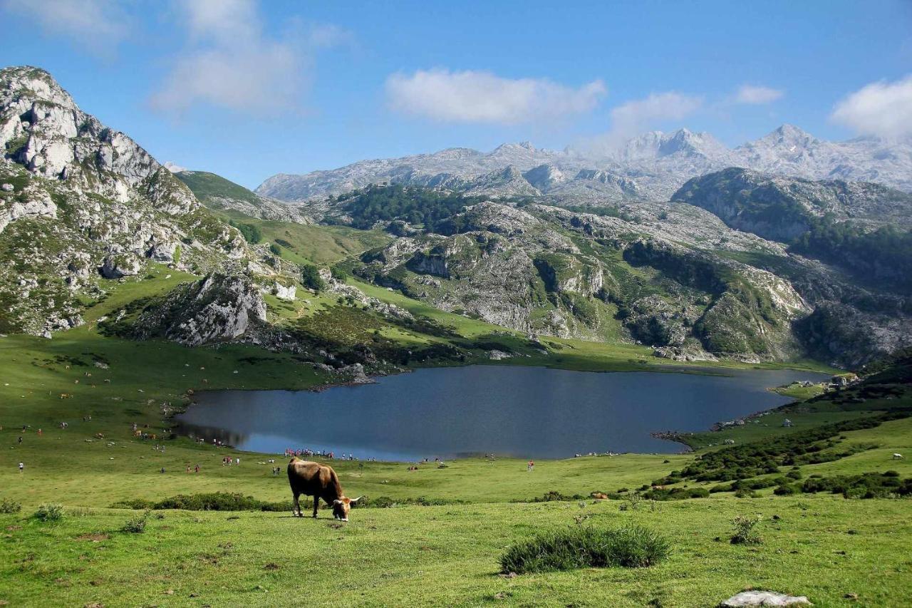 Апартаменты Casa Noval Zona Rural En El Centro De Asturias Бименес Экстерьер фото