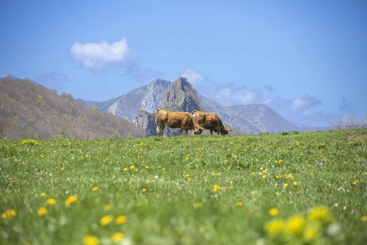 Апартаменты Casa Noval Zona Rural En El Centro De Asturias Бименес Экстерьер фото